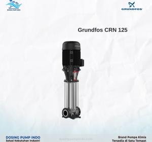 Grundfos CRN 125